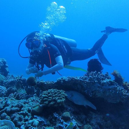 East Lombok Dive Hotel - 3 Private Rooms On The Beach With Seaview & Scuba Diving Center Labuhan Pandan Eksteriør billede