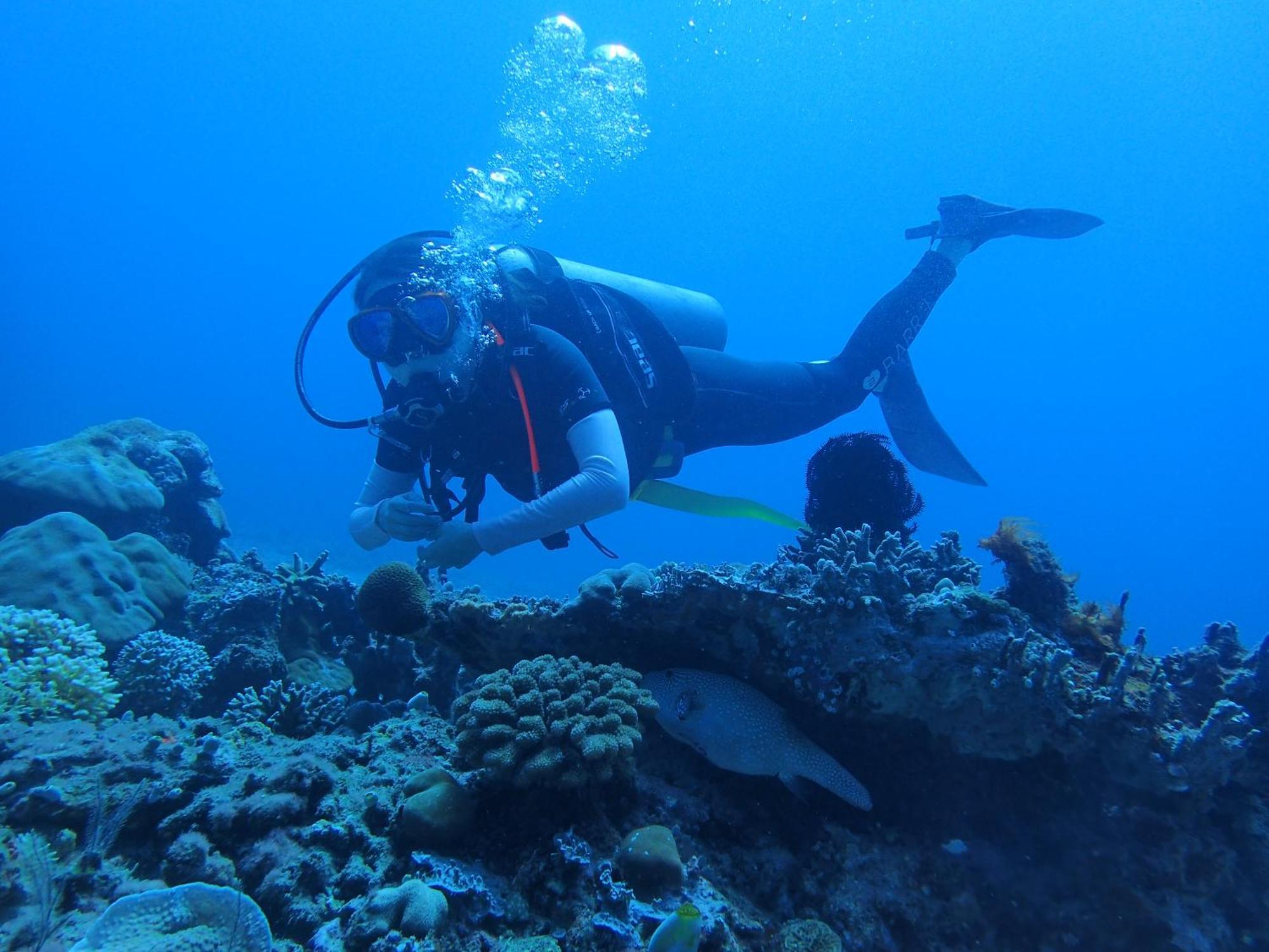 East Lombok Dive Hotel - 3 Private Rooms On The Beach With Seaview & Scuba Diving Center Labuhan Pandan Eksteriør billede