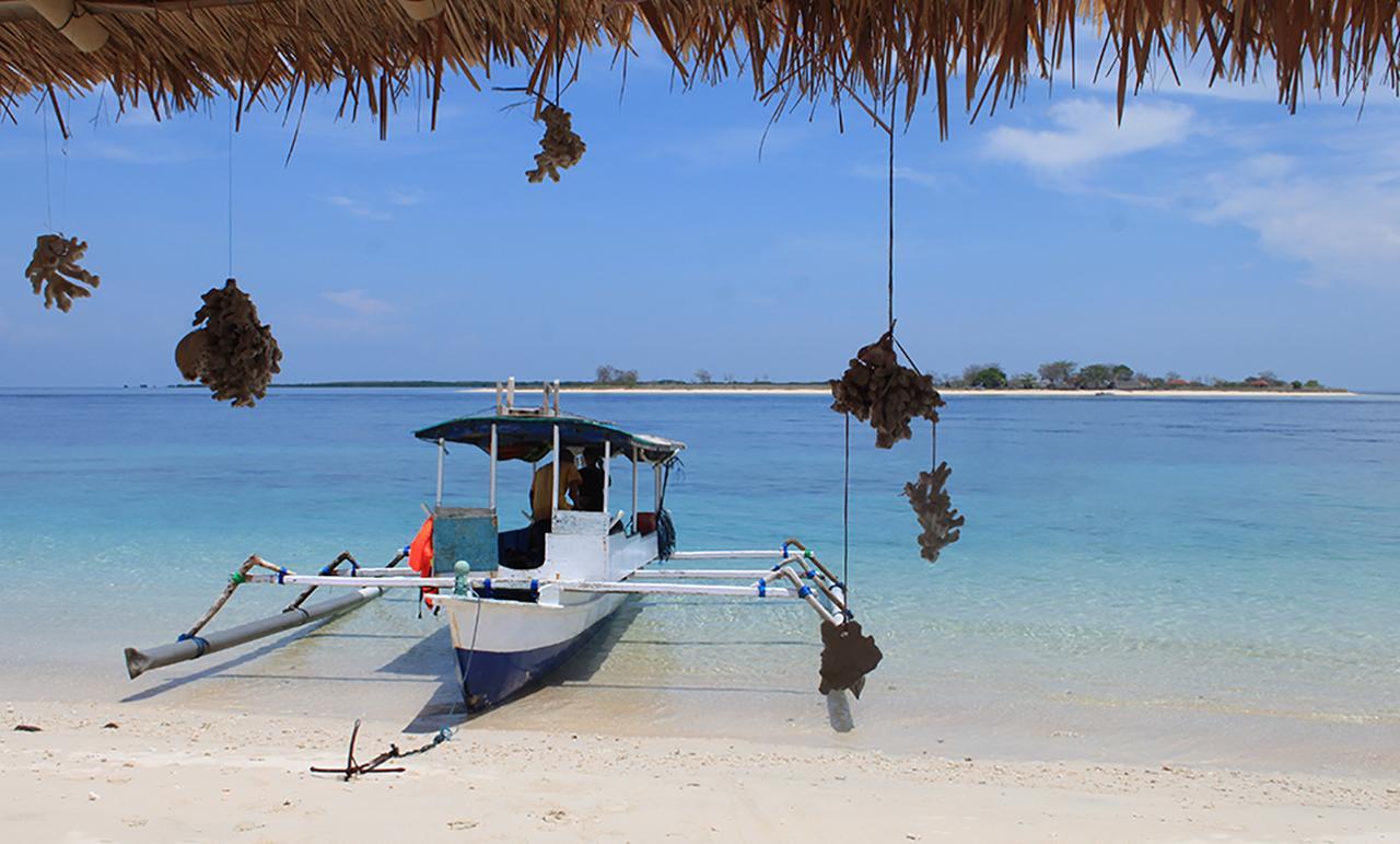 East Lombok Dive Hotel - 3 Private Rooms On The Beach With Seaview & Scuba Diving Center Labuhan Pandan Eksteriør billede