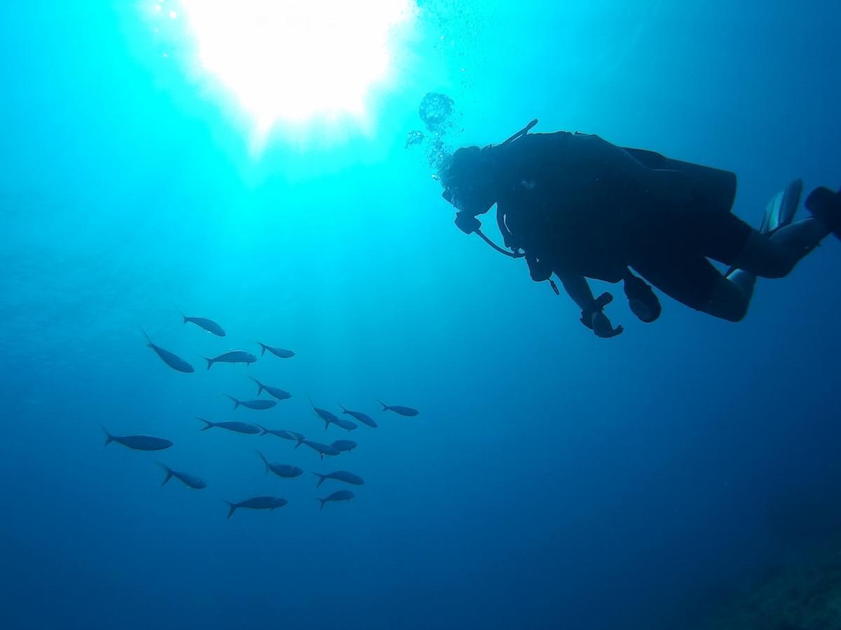 East Lombok Dive Hotel - 3 Private Rooms On The Beach With Seaview & Scuba Diving Center Labuhan Pandan Eksteriør billede